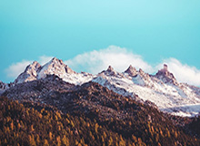 开云体育下载-水庆霞代表为退役运动员发声